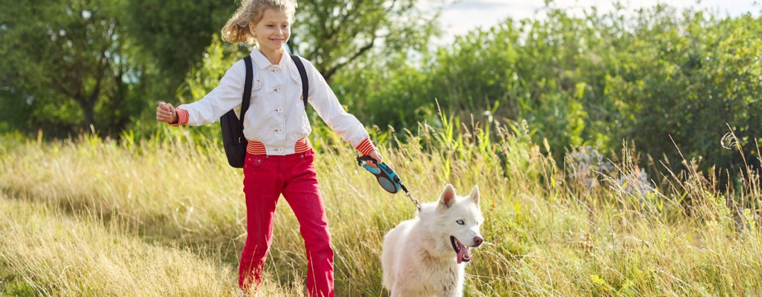 El vínculo entre los animales y la educación Montessori