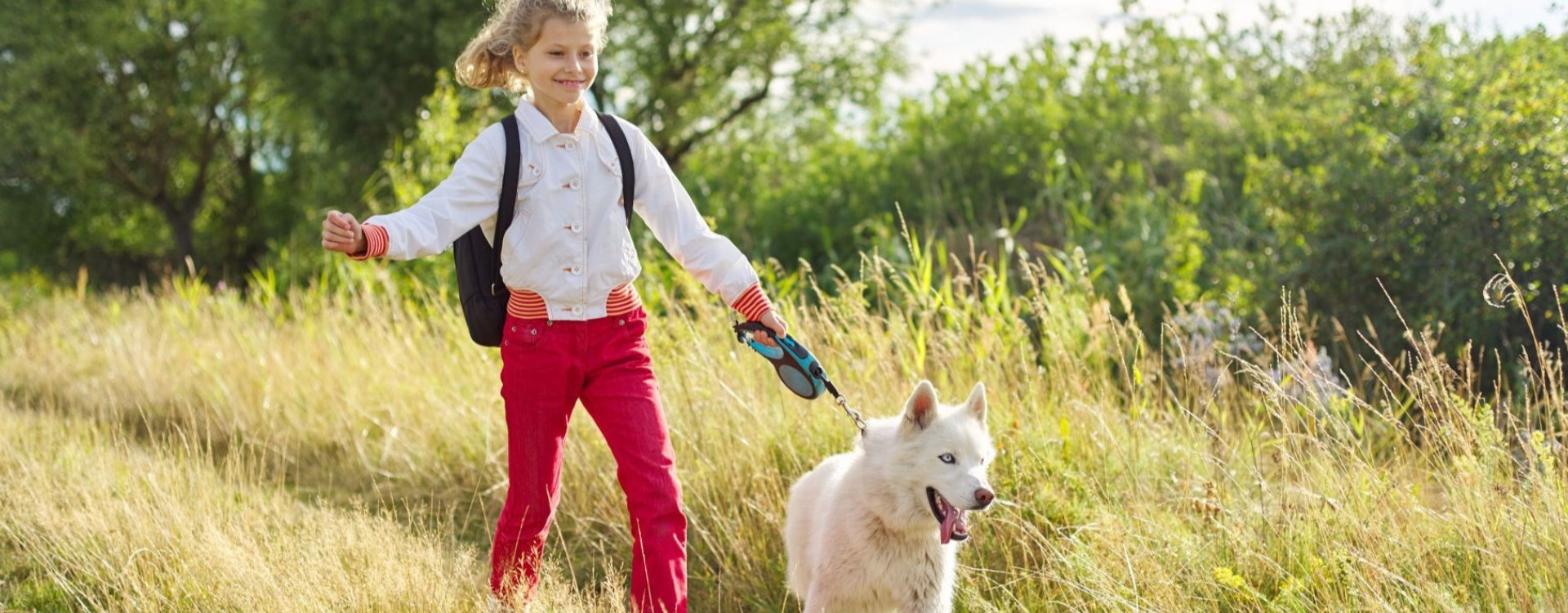 El vínculo entre los animales y la educación Montessori